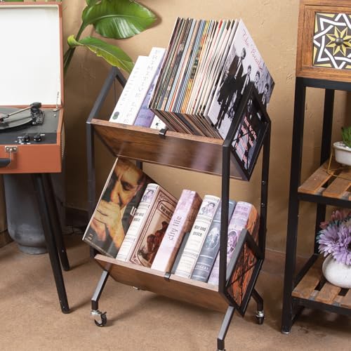 Vinyl Record Storage Holder with Wheels, 2-Tier Record - Image 3