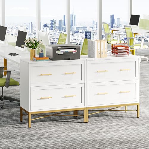 Tribesigns Modern White 2 Drawer File Cabinet, Lateral - Image 6