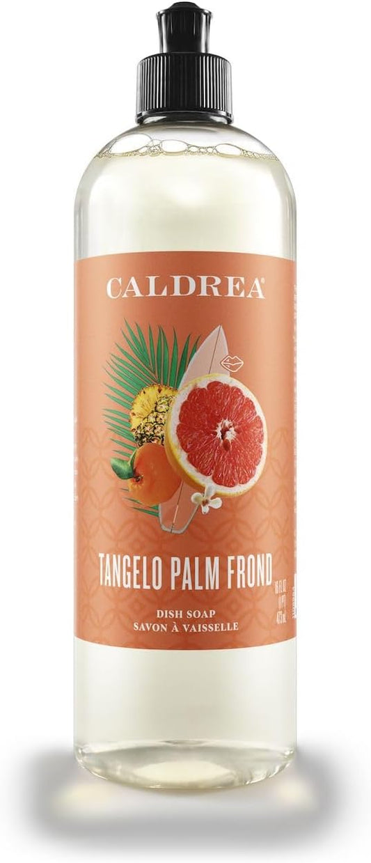 Caldrea Dish Soap, Biodegradable Dishwashing Liquid made With Soap Bark And Aloe Vera, Tangelo Palm Frond Scent, 16 Oz