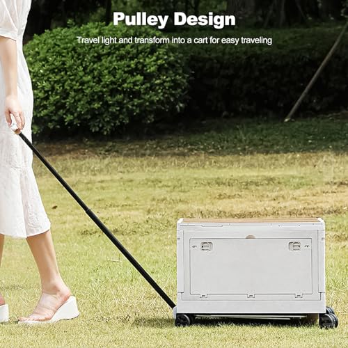 Ergocar Multi -Function Folding Storage Box,Which Can Stack - Image 6