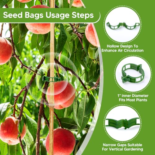 Seed Storage Organizer Box with 4 Compartments, Metal Seed - Image 6