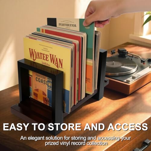 ARCWEISSO Vinyl Record Storage, Adjustable Vinyl Record Holder - Image 6