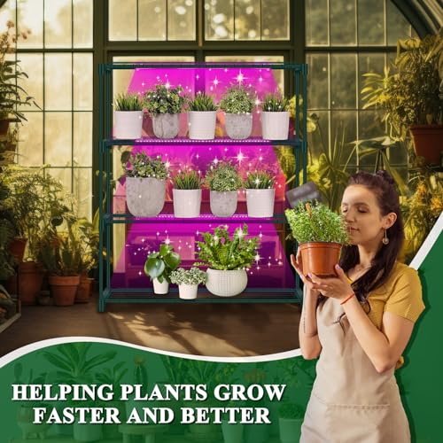 Vercraft 4 Tier Winter Greenhouse with Shelves 42x12x35 Inch 24W - Image 5