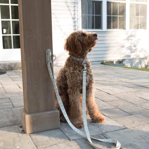 Dog Leash Hitch Parking Hook Heavy Duty Wall-Mount - Image 3
