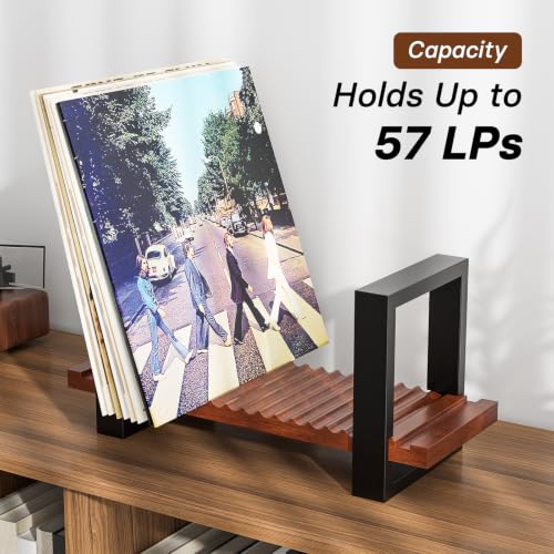 Vinyl Record Storage Holder, Holds Up to 57 LPs - Image 5