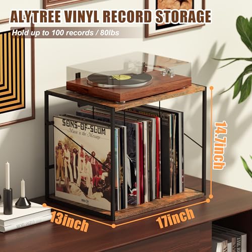 Vinyl Record Storage Holder for 80-100LPs, Vinyl Record - Image 3