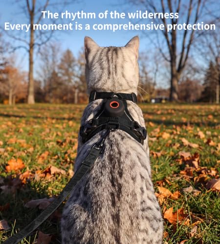 Jacquard Cat Harness & Leash Set, Escape-Proof Vest | Pet Essentials - Image 8