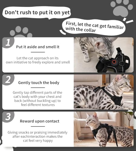 Jacquard Cat Harness & Leash Set, Escape-Proof Vest | Pet Essentials - Image 7