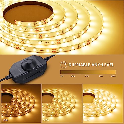 Lepro LED Strip Light, 32.8Ft Dimmable Vanity Lights - Image 3