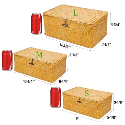 Yesland Small Shelf Baskets with Lid Set of 3, Compa | All Products - Image 3