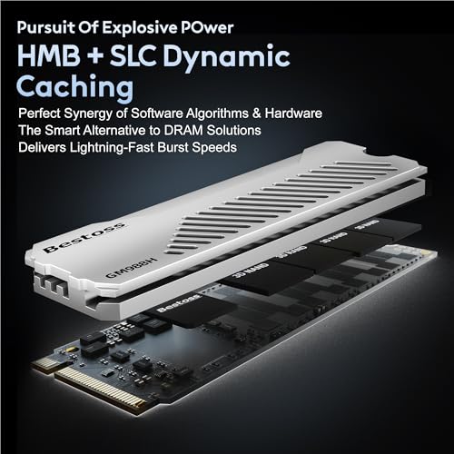 Bestoss 2TB PCIe4.0 NVMe M.2 2280 SSD with Heatsink, PS5 Storage - Image 4