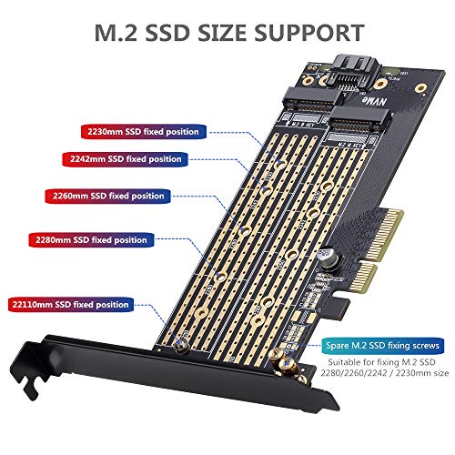 Dual M.2 PCIE Adapter for SATA or PCIE NVMe SSD with | All Products - Image 6