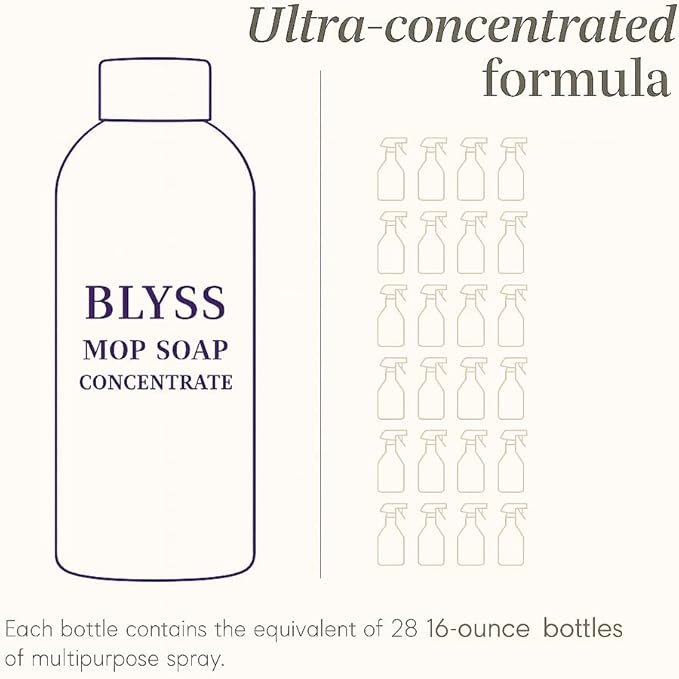 Blyss Official Mop Soap (Baja)