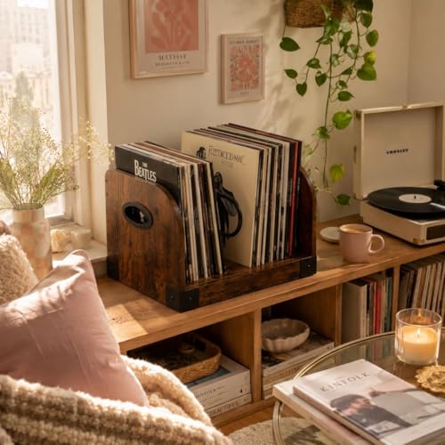 Vinyl Record Storage Rack for 65 LPs, Vinyl Record Album - Image 3