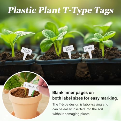 Seed Storage Box Organizer - Metal Garden Seed Storage - Image 6