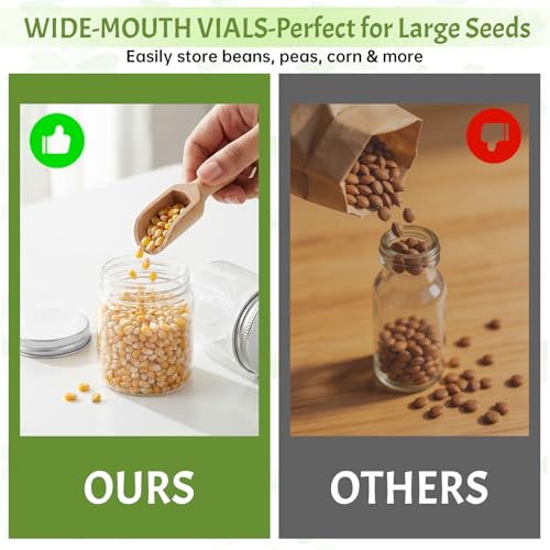 Spring Seed Storage Organizer | 3-Compartment Metal Seed - Image 5