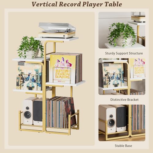 Bikoney Planter-Style Record Player Stand with Vinyl - Image 4