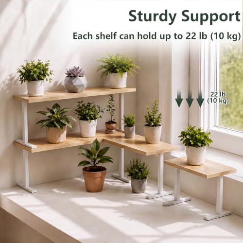 Golener Countertop Shelf, Kitchen Counter Organizer - Image 7