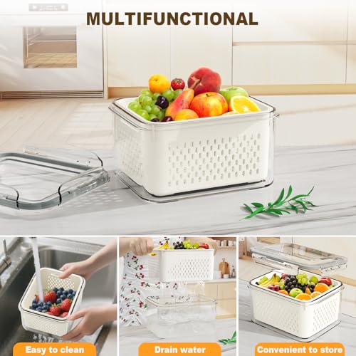Dayacoco Fruit Storage Containers for Fridge 4 Pcs w | All Products - Image 6
