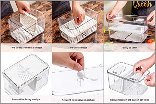 SANNO Fridge Produce Saver Storage Vegetable Fruit C | All Products - Image 3
