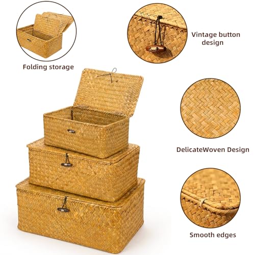 Yesland Small Shelf Baskets with Lid Set of 3, Compa | All Products - Image 4