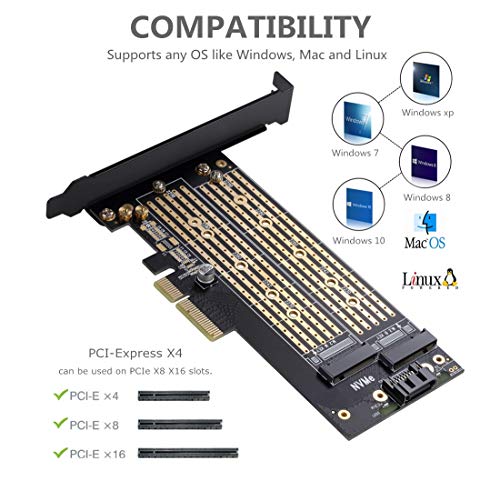 Dual M.2 PCIE Adapter for SATA or PCIE NVMe SSD with | All Products - Image 5