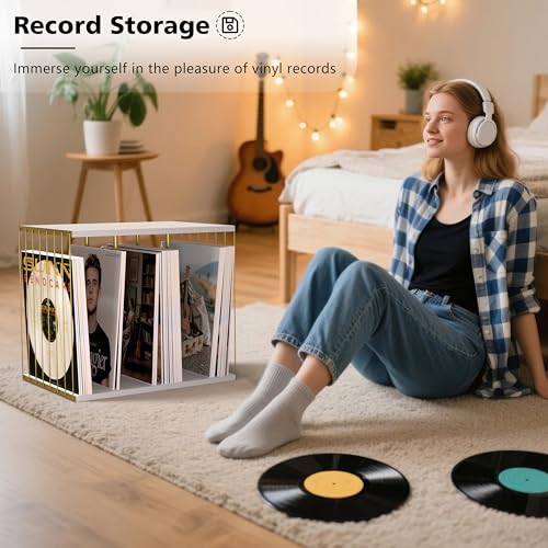 Emfogo Vinyl Record Storage, Metal & Wooden Vinyl Record - Image 7