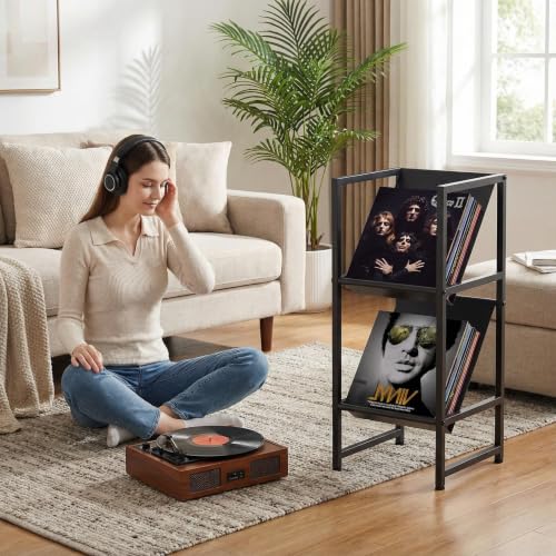 2-Tier Black Metal Vinyl Record Storage Holder for Collection - Image 6