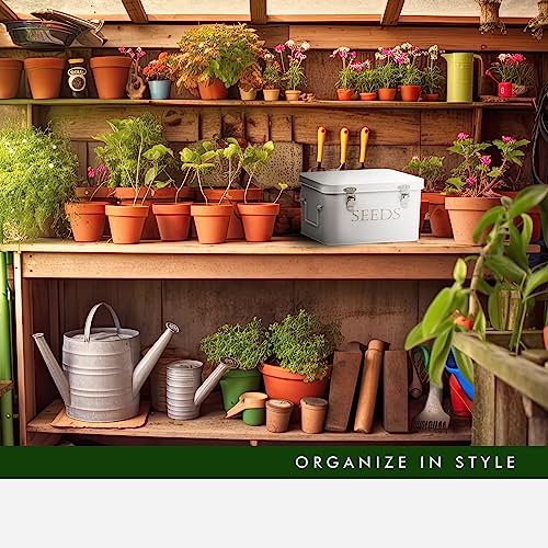Garden Seed Storage Box with Dividers Seeds Packet | Home Organization - Image 7