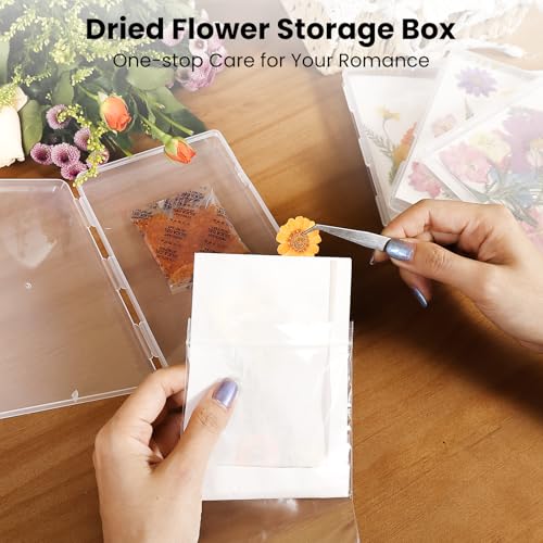Aboofx 4PCS Dried Flower Storage Set with Blotting Paper - Image 3