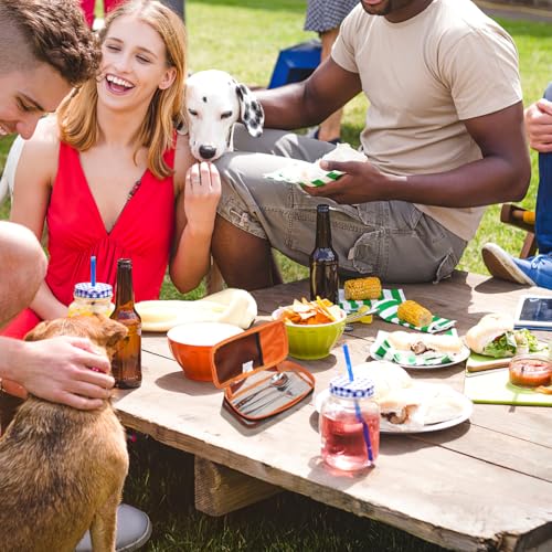 DOITOOL Portable Bbq Storage Bag 9.44X4.72X1.96In | Home Organization - Image 3
