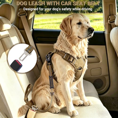 Tactical Bungee Dog Leash with 2 Padded Handles,Shock | Pet Essentials - Image 6