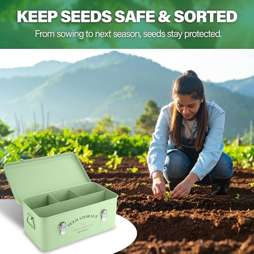 Seed Storage Box Organiser - Seed Tin with 4 Handy Compartments - Image 6