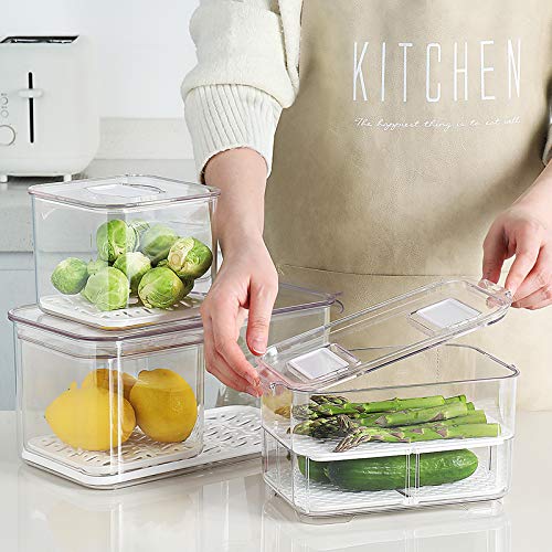SANNO Fridge Food Storage Containers Produce Saver FreshWorks - Image 4