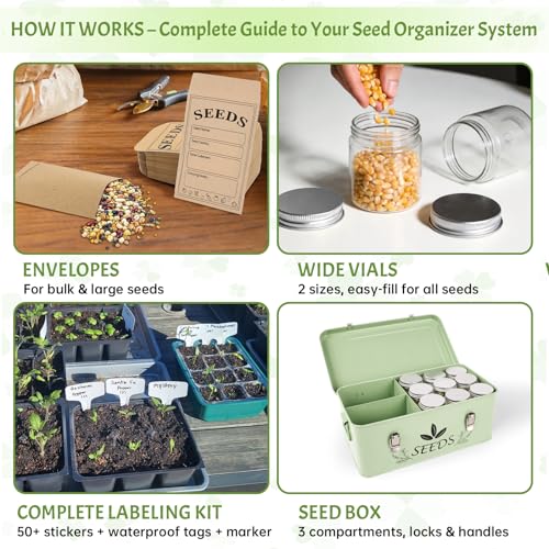 Spring Seed Storage Organizer | 3-Compartment Metal Seed - Image 6