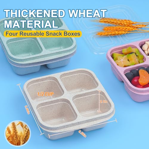 4 Pack Snack Containers, Reusable Bento Snack Box - Image 3