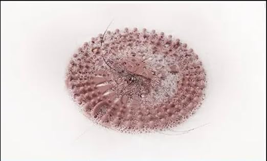 Bath Filter for Tub Faucet - 11 Stage Bathtub Water Filter with Vitamin C - Removes Chlorine & Contaminants - Bath Water Filter for Baby & Kids - Healthy Skin & Hair (Pink)