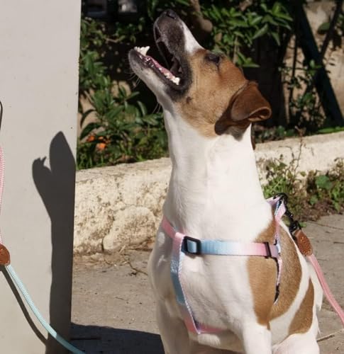 Dog Leash Hitch Parking Hook Heavy Duty Wall-Mount - Image 5
