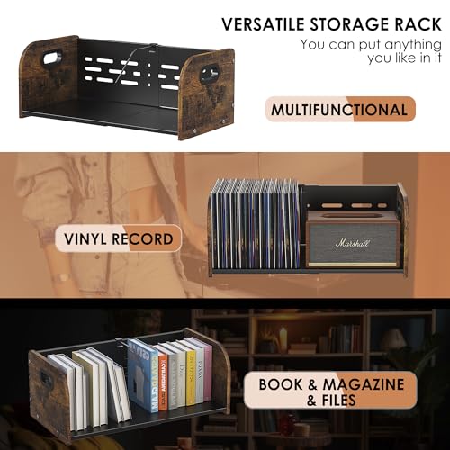 RUILALIFE Vinyl Record Storage Holder, Expandable Record - Image 6