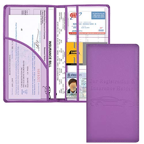 Cacturism Car Registration and Insurance Holder, Glove Box - Image 2