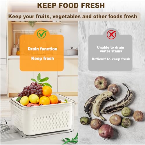Dayacoco Fruit Storage Containers for Fridge 4 Pcs w | All Products - Image 5