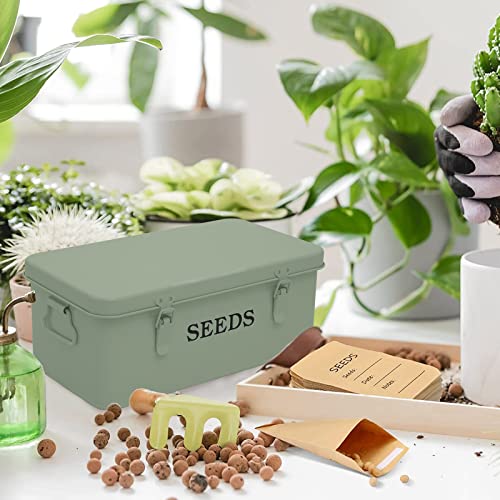 Seed Storage, Metal Seed Box - Image 3