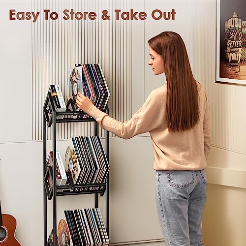 Vinyl Record Storage Rack, Record Holder 260-280 LP - Image 6