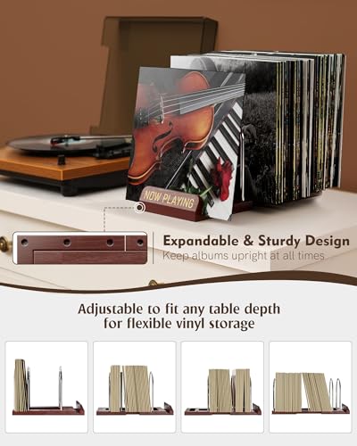 HULISEN Expandable Vinyl Record Holder, Now Playing Vinyl - Image 5