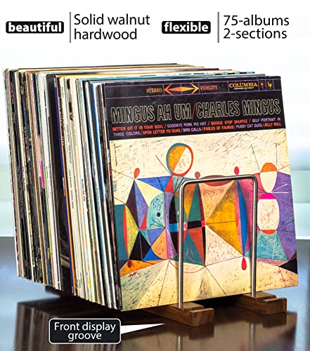 Vinyl Record Storage Holder, 75 LPs, Solid Walnut & Steel - Image 5