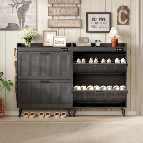 ChooChoo Shoe Storage Cabinet with 2 Flip Drawers and Deodorizer - Image 3