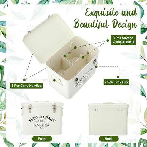 Maitys Seed Storage Container Box with Lid, Stylish - Image 4
