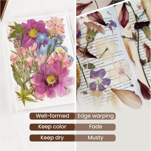 Aboofx 4PCS Dried Flower Storage Set with Blotting Paper - Image 4
