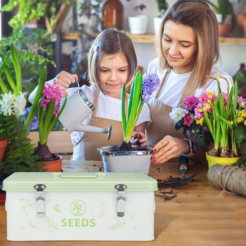 Seed Storage Organizer Box, 4 Compartments, Lockable,Light Green - Image 7