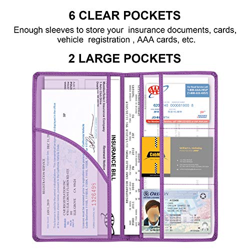 Cacturism Car Registration and Insurance Holder, Glove Box - Image 6